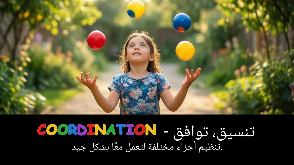 Arabic Illustration for coordination